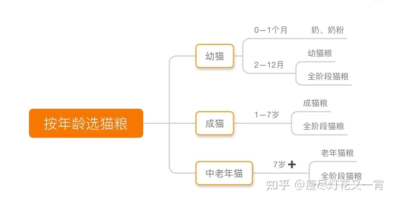 小心“吸猫”上瘾哦 欧拉好猫产品力分析